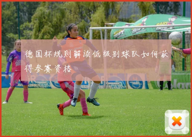 德国杯规则解读低级别球队如何获得参赛资格