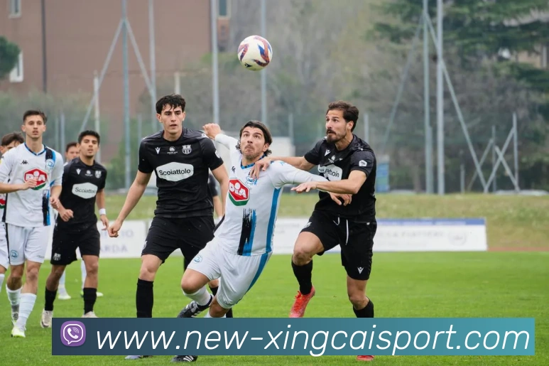 杏彩体育APP 封面图